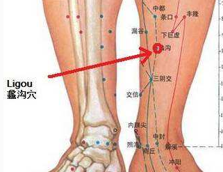中醫(yī)教你按摩蠡溝穴治療月經(jīng)不調(diào)以及蠡溝穴的功效作用！