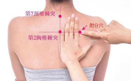 附分穴的按摩方法