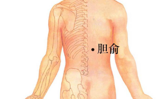 膽俞穴主治疾病