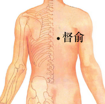 督俞穴的準確位置在哪？按摩督俞穴的功效與作用有哪些？