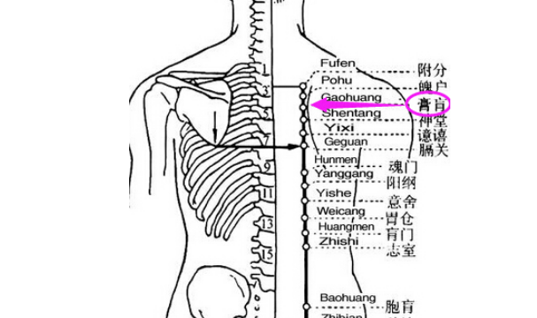 按摩膏肓穴的好處