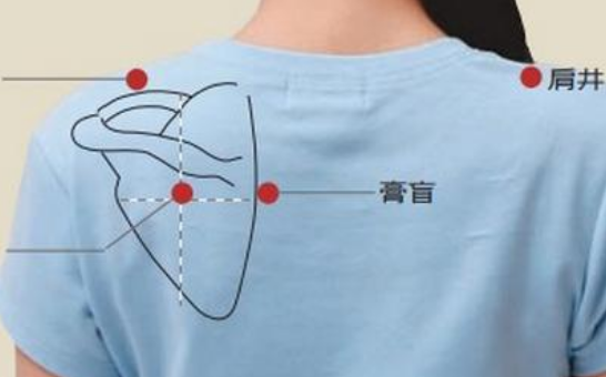 膏肓穴的功效與作用