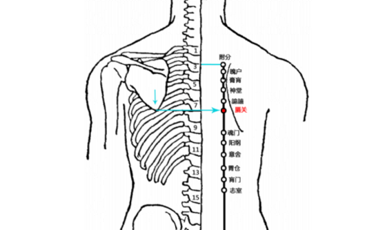 膈關(guān)穴的功效與作用