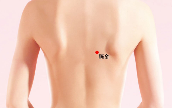 膈俞穴主治疾病