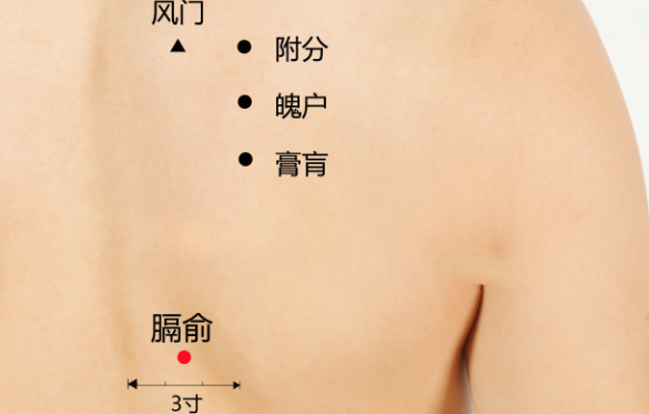 膈俞穴的按摩方法