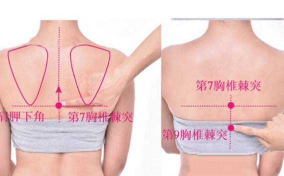 魂門穴主治疾病