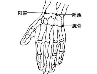 腕骨穴的位置怎么找？