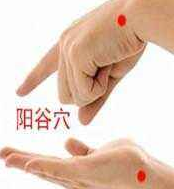 陽谷穴的圖片