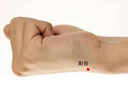 陽谷穴的功效與作用