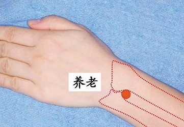 陽谷穴主治疾病