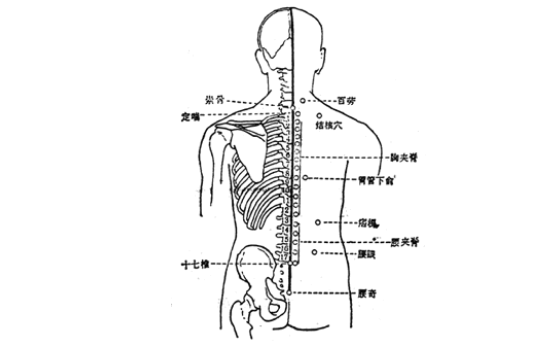 夾脊穴主治疾病
