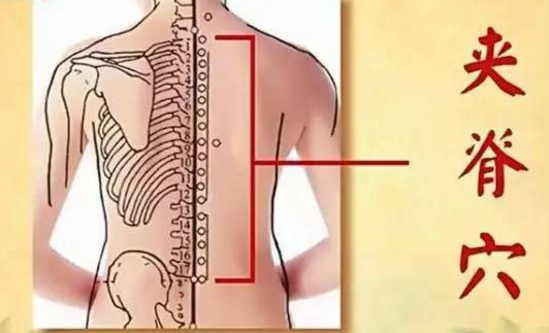夾脊穴穴位配伍