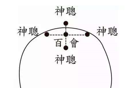 百會(huì)穴的位置怎么找？