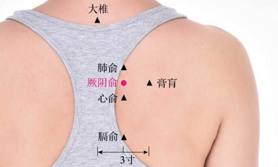 厥陰俞穴的按摩方法