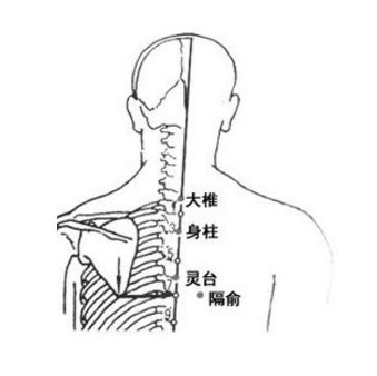 靈臺穴疼痛怎么回事？它的準確位置及按摩靈臺穴的功效與作用有哪些？