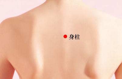 按摩身柱穴的好處