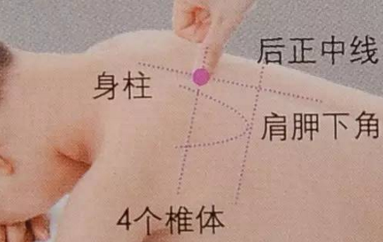 身柱穴的圖片