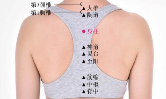 身柱穴位置