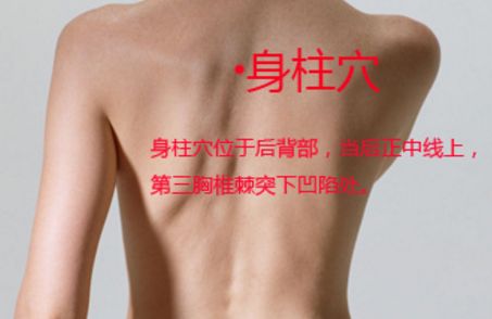 身柱穴的功效與作用