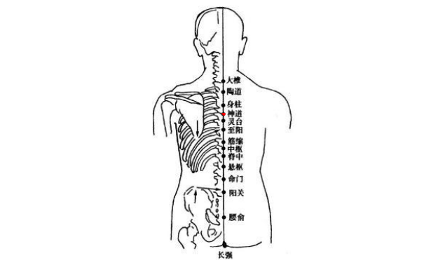 神道穴的功效與作用
