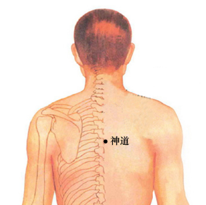 神道穴的準(zhǔn)確位置在哪？