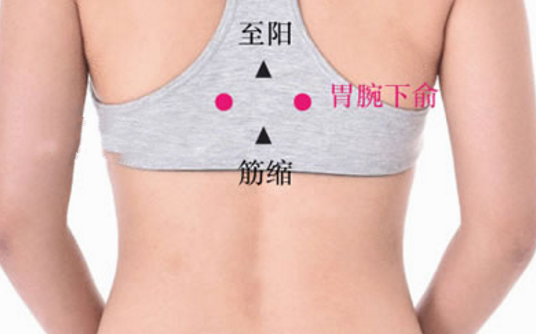 胃脘下俞穴的功效與作用