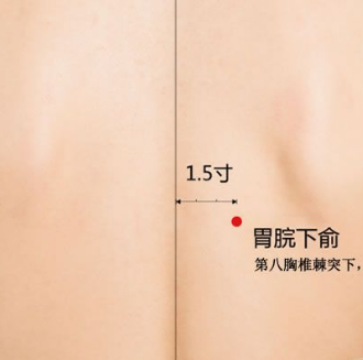 胃脘下俞穴的準確位置及按摩胃脘下俞穴的功效與作用！