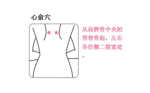 心俞穴的圖片