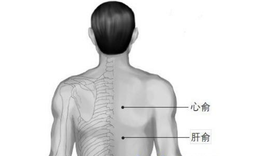 心俞穴穴位配伍