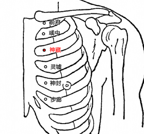 神藏穴的準(zhǔn)確位置