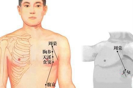 食竇穴的功效與作用