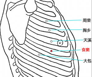 食竇穴的位置