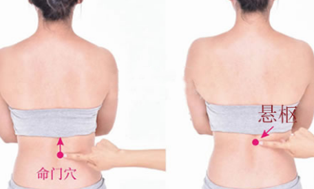 懸樞穴的功效與作用