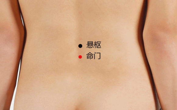 懸樞穴穴位配伍