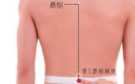 懸樞穴主治疾病