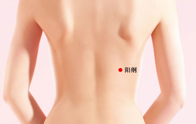 按摩陽(yáng)綱穴的好處