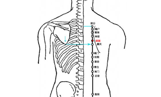 譩譆穴的功效與作用