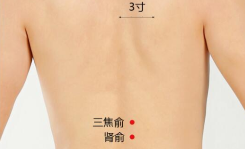 腎俞穴主治疾病