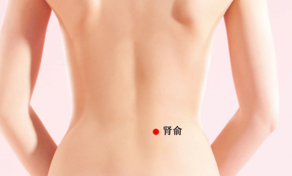 腎俞穴的功效與作用