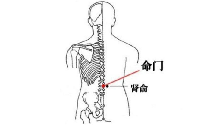 腎俞穴穴位配伍