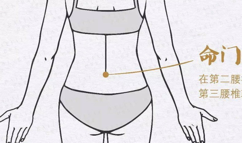 命門穴圖片