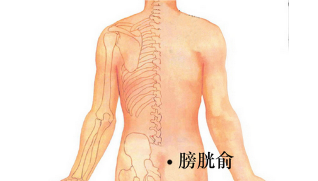 按摩膀胱俞穴的好處