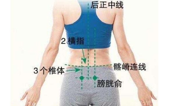 膀胱俞穴穴位配伍