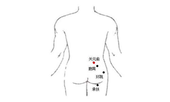 關(guān)元俞穴位置