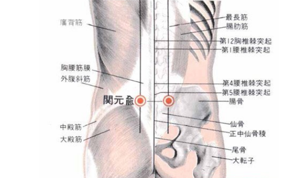 關(guān)元俞穴主治疾病
