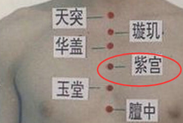 紫宮穴的準(zhǔn)確位置
