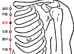 紫宮穴的功效與作用