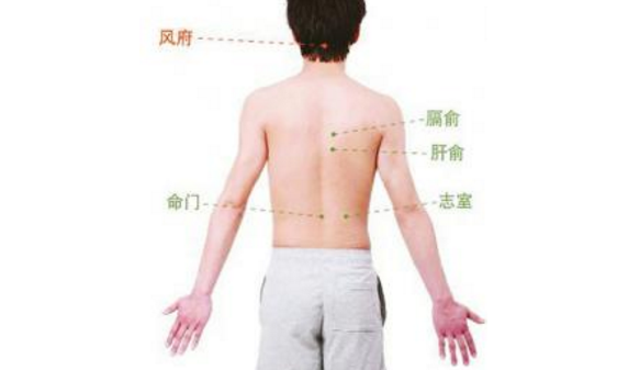 志室穴的功效與作用