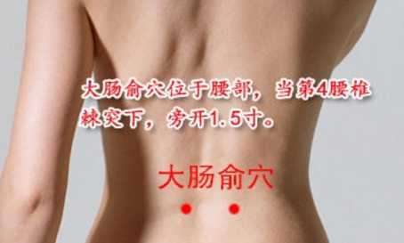 大腸俞穴的圖片