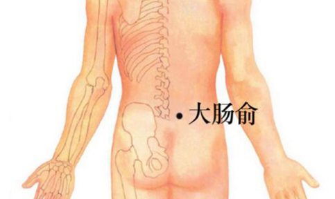 大腸俞穴主治疾病